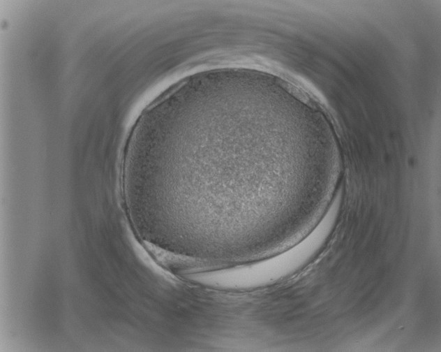 X0000058781528200510031007