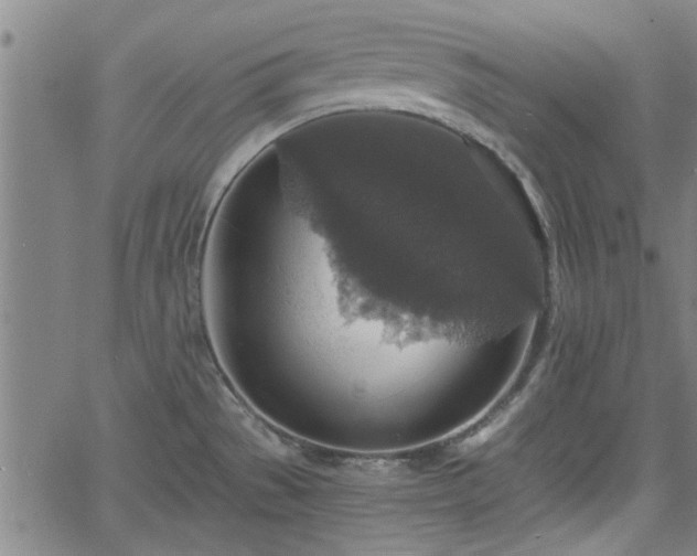 X0000058781529200510031007