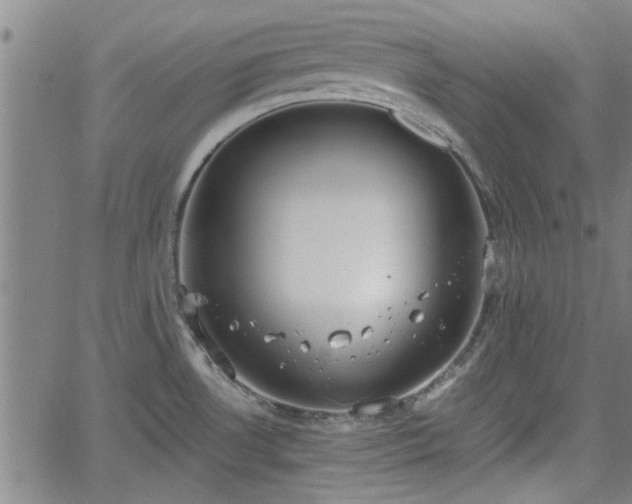 X0000058781530200510031007