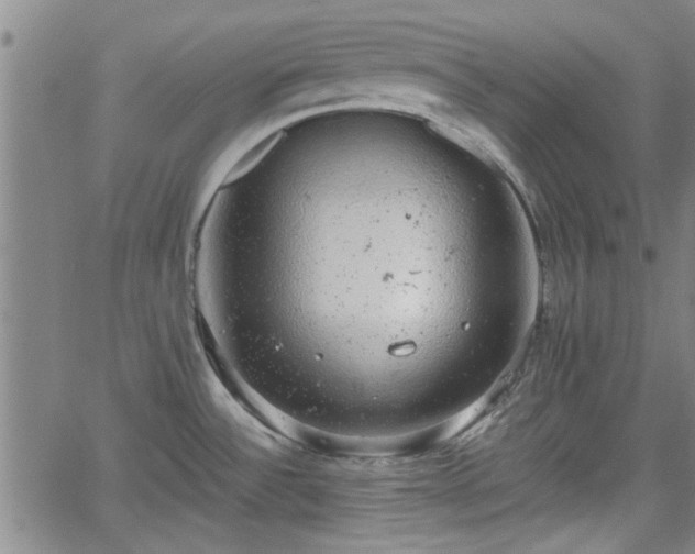 X0000058781532200510031007