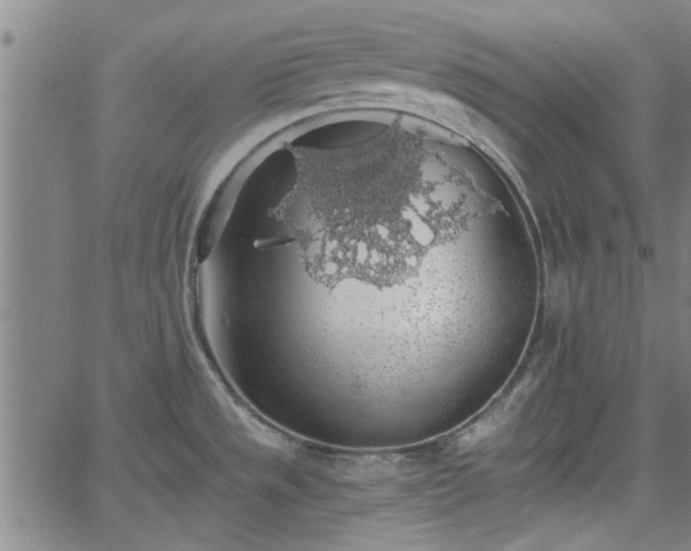 X0000058781533200510031007