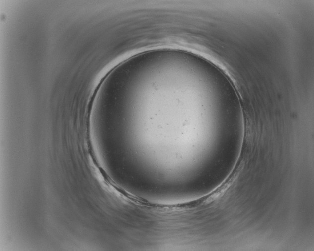 X0000058781534200510031007