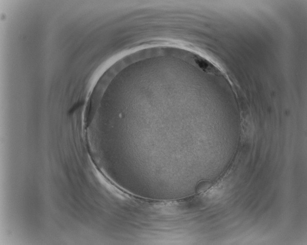 X0000058781535200510031007