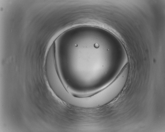 X0000058781536200510031007