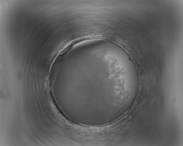 X0000058780002200510071621