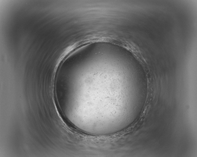 X0000058780003200510071621