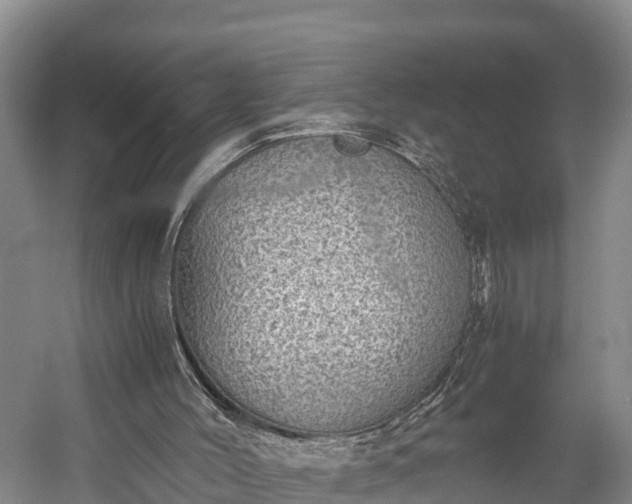 X0000058780004200510071621