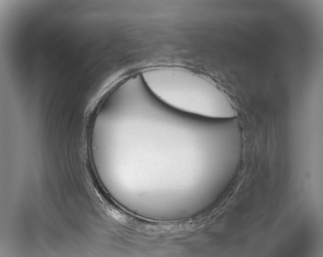 X0000058780005200510071621