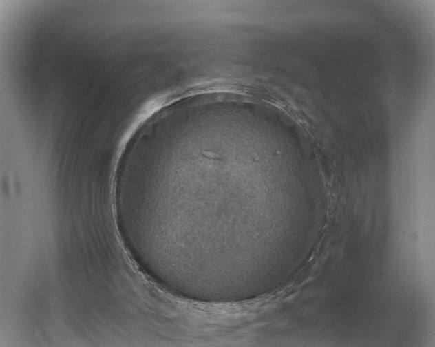 X0000058780006200510071621