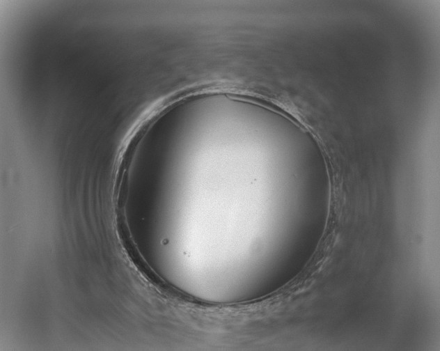 X0000058780007200510071621