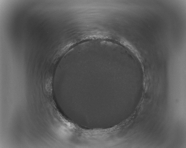 X0000058780009200510071621