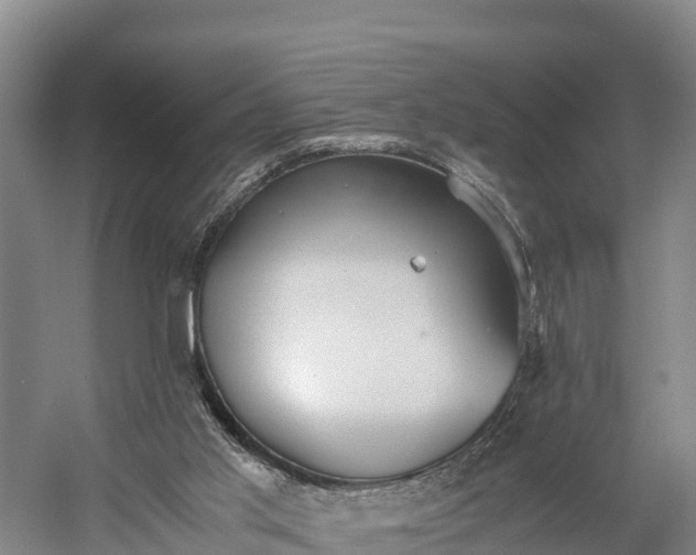 X0000058780013200510071621