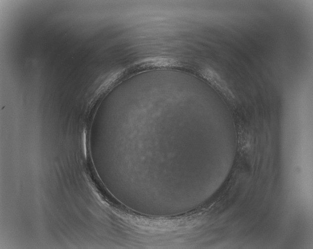 X0000058780014200510071621