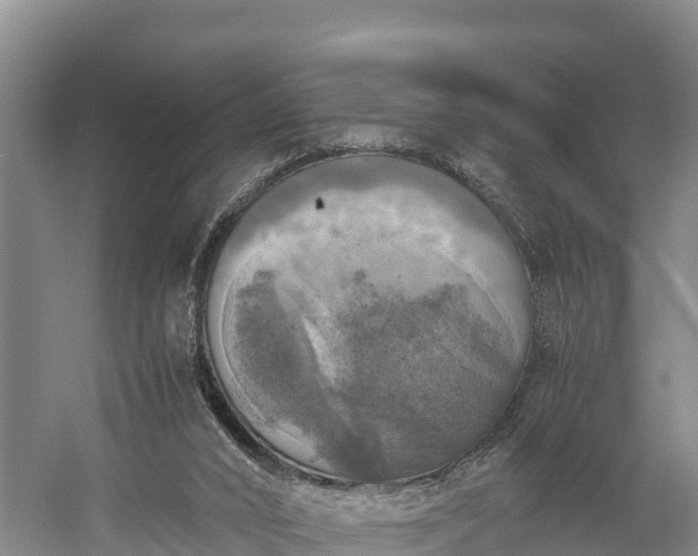 X0000058780016200510071621