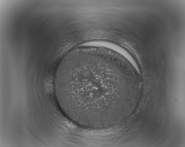 X0000058780017200510071621