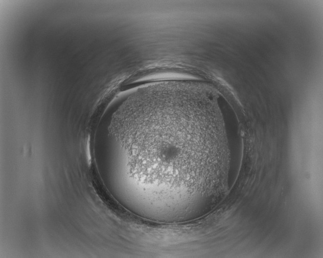 X0000058780020200510071621