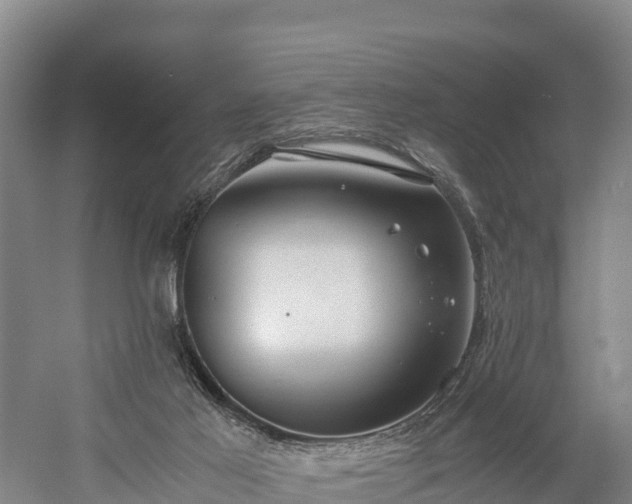 X0000058780021200510071621