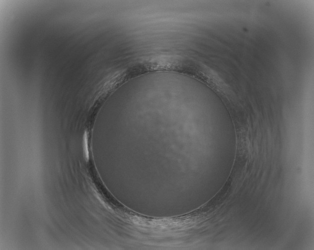 X0000058780022200510071621