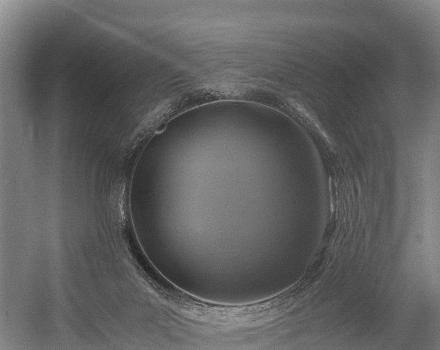 X0000058780023200510071621