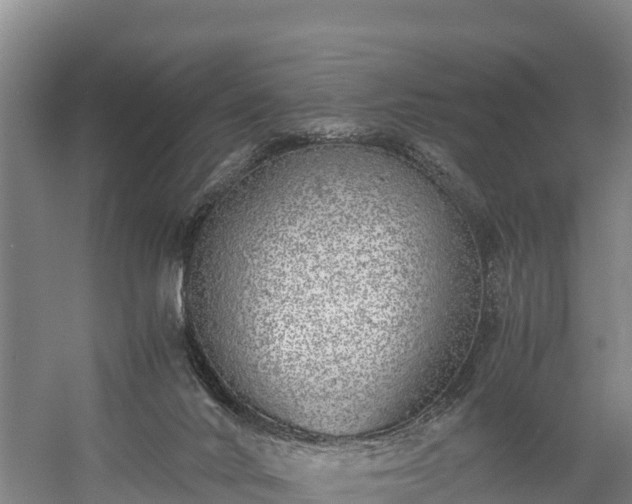 X0000058780024200510071621