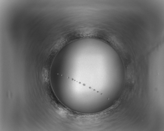 X0000058780025200510071621