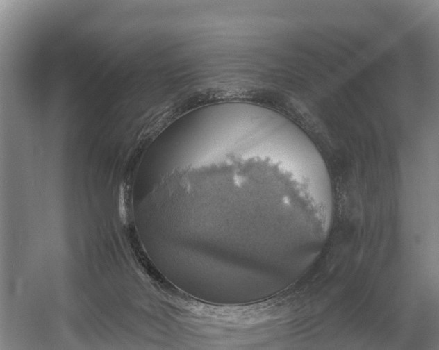 X0000058780026200510071621