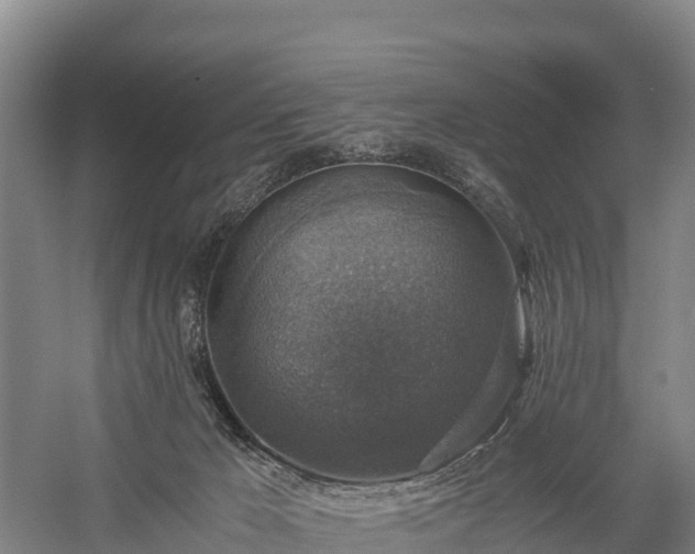 X0000058780029200510071621