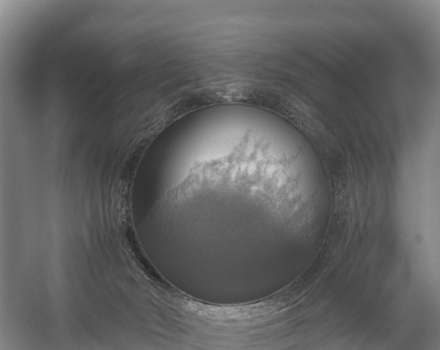 X0000058780030200510071621