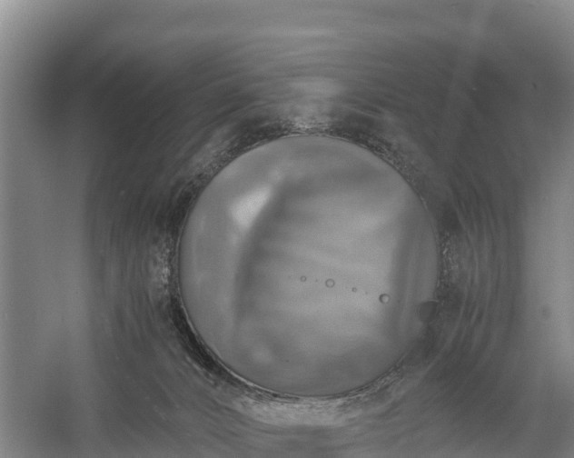 X0000058780032200510071621