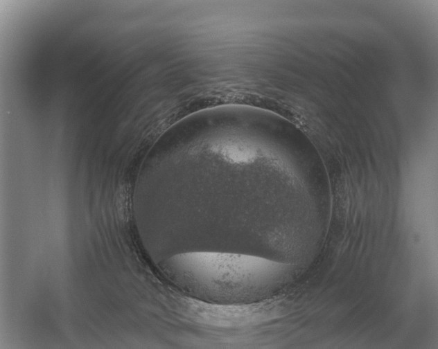 X0000058780034200510071621