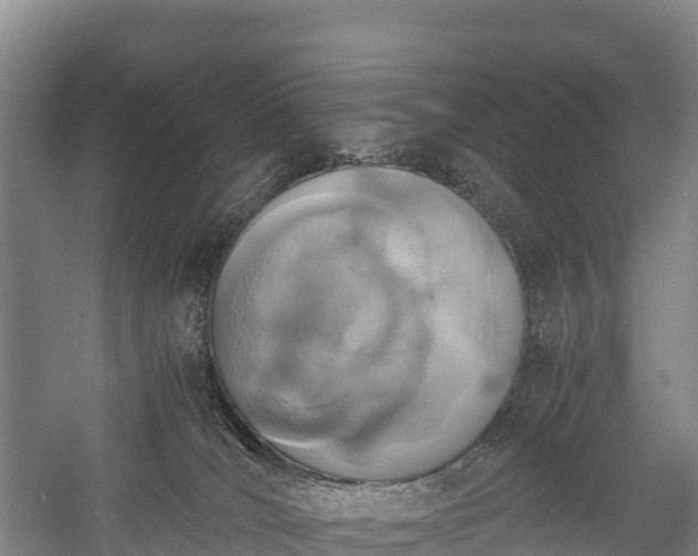 X0000058780036200510071621