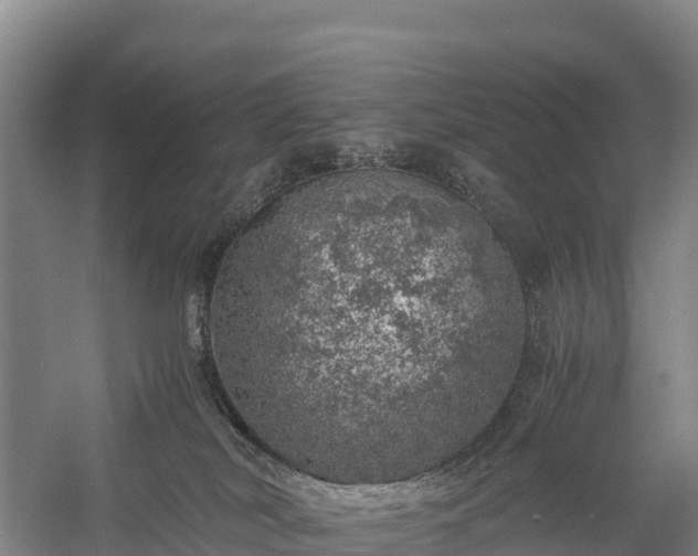 X0000058780038200510071621