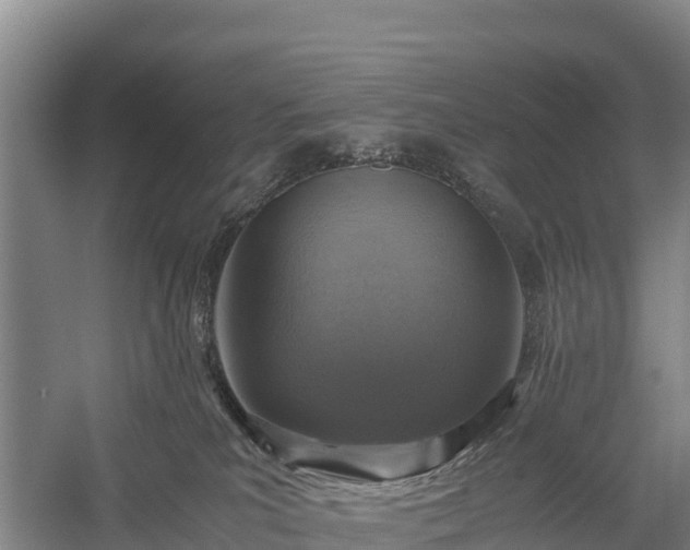 X0000058780039200510071621