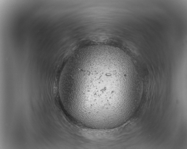 X0000058780040200510071621