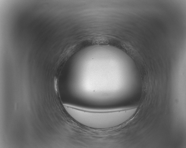 X0000058780041200510071621