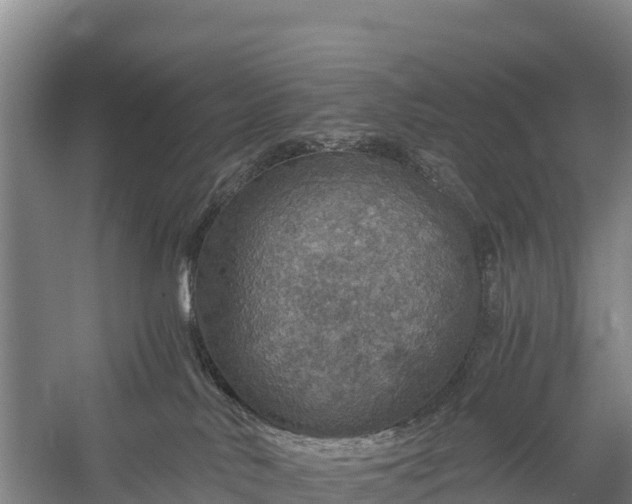 X0000058780042200510071620