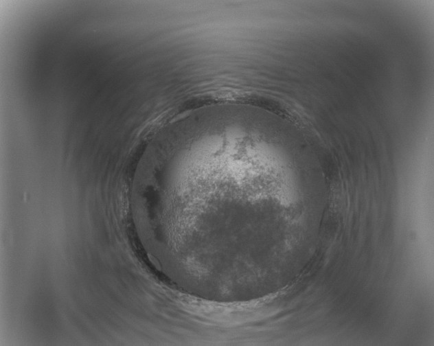 X0000058780043200510071620