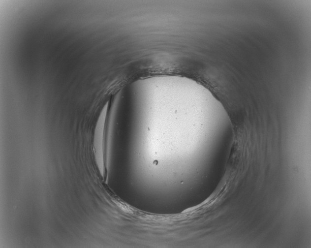 X0000058780045200510071620