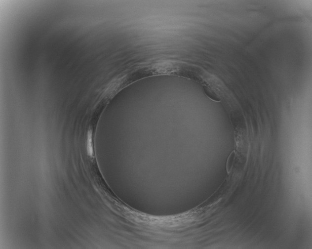 X0000058780046200510071620