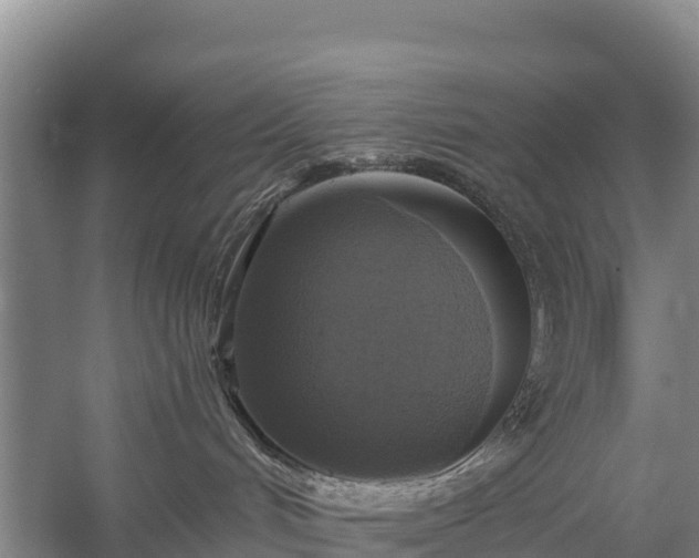 X0000058780048200510071620