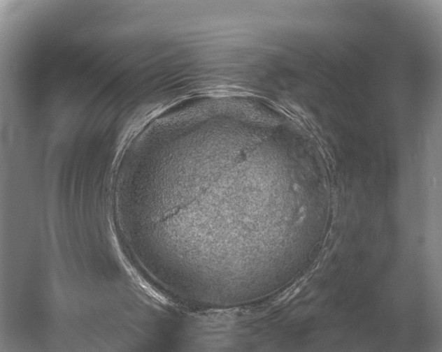 X0000058780049200510071620