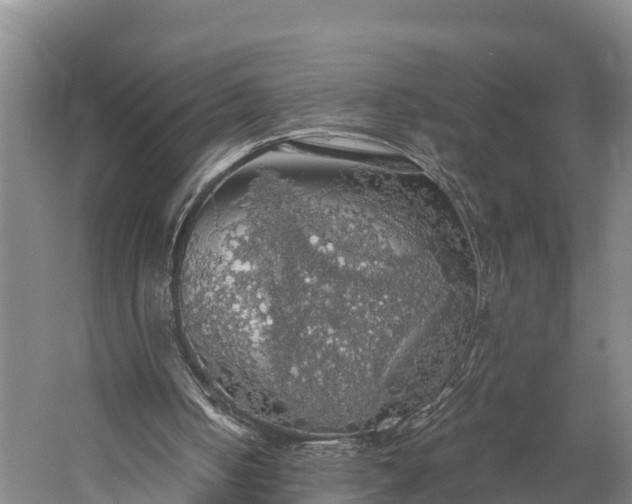 X0000058780050200510071620