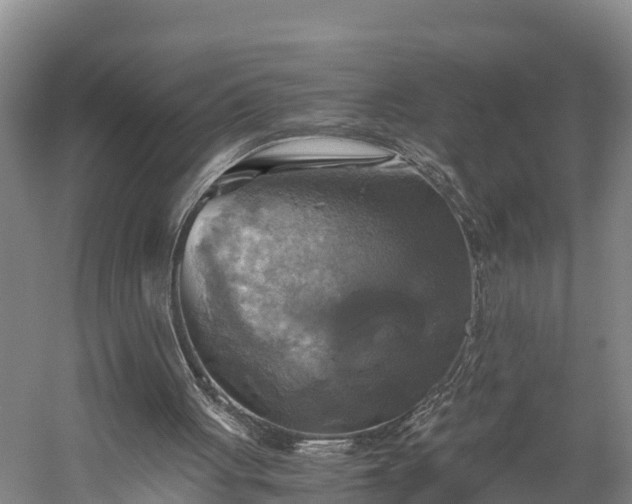 X0000058780051200510071620