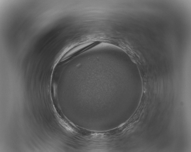 X0000058780052200510071620