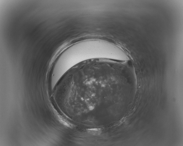 X0000058780053200510071620