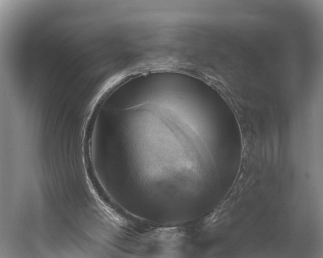 X0000058780054200510071620