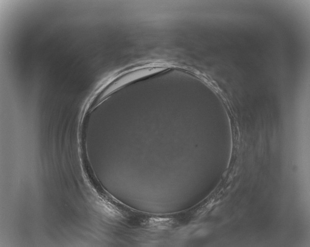 X0000058780055200510071620