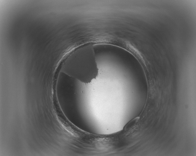 X0000058780059200510071620