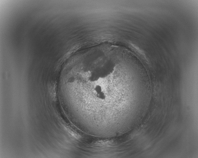 X0000058780065200510071620