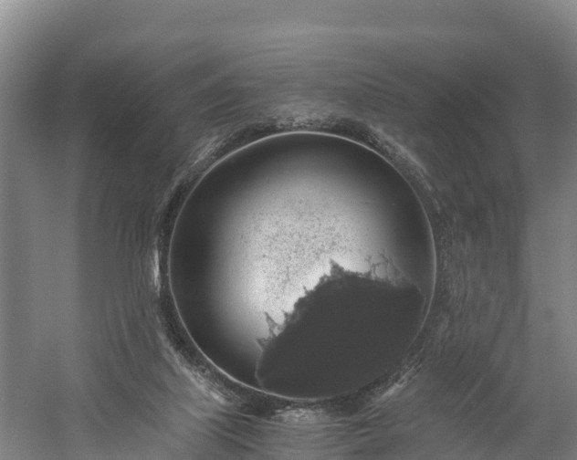 X0000058780067200510071620